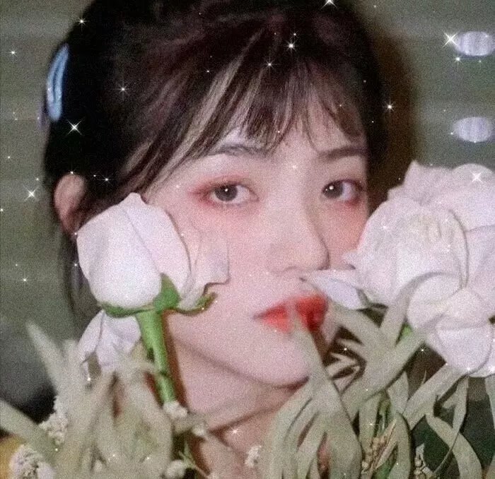 真爱100天